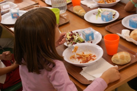 Portale Scuola - Nuovi contenuti